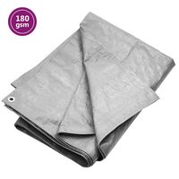 vidaXL Tentas, pilkos spalvos, 2x3m, 180g/m²