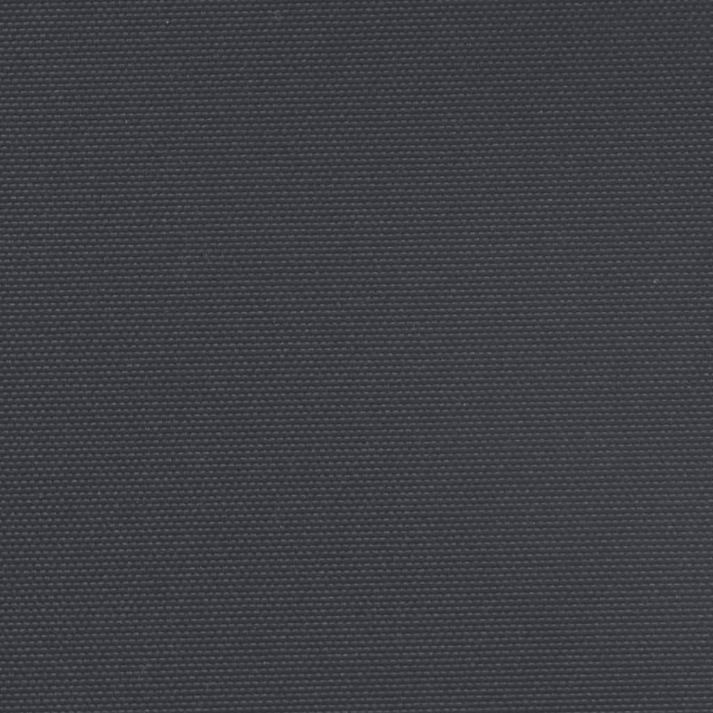 vidaXL Ištraukiama šoninė markizė, juodos spalvos, 200x300cm